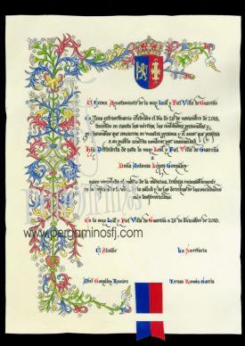 DIPLOMA AYUNTAMIENTO DE GUAREÑA